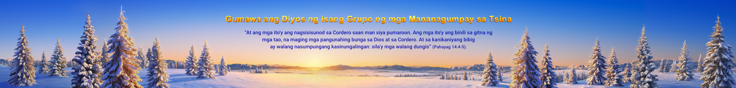 WB-官网3.0-经历见证-神已在中国作成一班得胜者-B