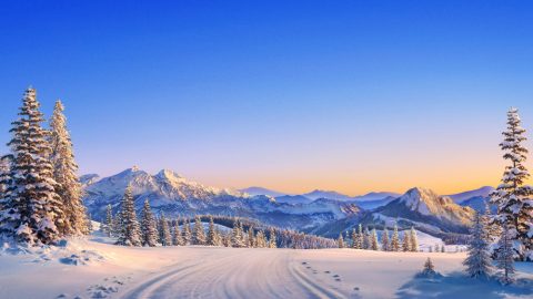 Ano ang isang mananagumpay at paano ginagawa ng Diyos na mananagumpay ang isang tao bago dumating ang mga sakuna