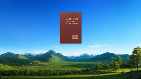 Bakit hindi ginagamit ng Diyos ang tao para gawin ang Kanyang gawain ng paghatol sa mga huling araw, bagkusay nagkatawang-tao at ginawa ito Mismo