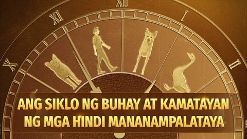 Ang Siklo ng Buhay at Kamatayan ng mga Hindi Mananampalataya