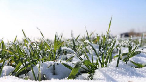 Sumaakin ang Pag-ibig ng Diyos sa Madilim na Bilangguan ng Diyablo