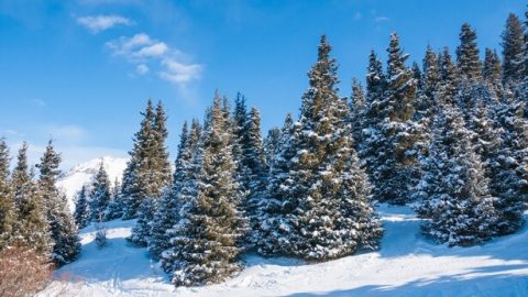Ang Paglansag sa Mahigpit na Pagkubkob ni Satanas (Ikalawang Bahagi)