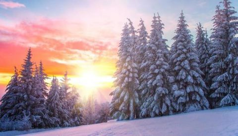 Ang Mga Kayamanan ng Buhay